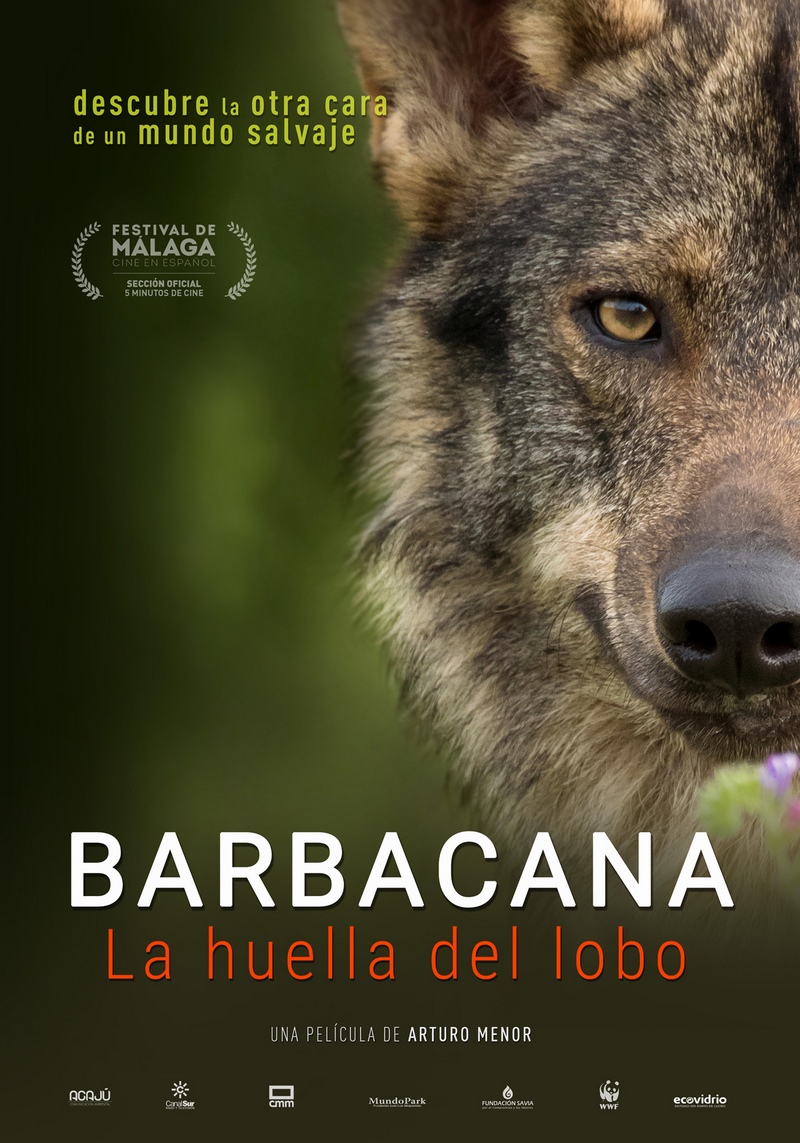 Barbacana, la huella del lobo