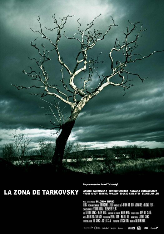 La zona de Tarkovsky