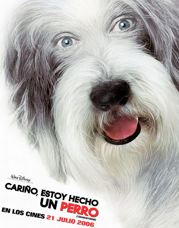 Cario, estoy hecho un perro