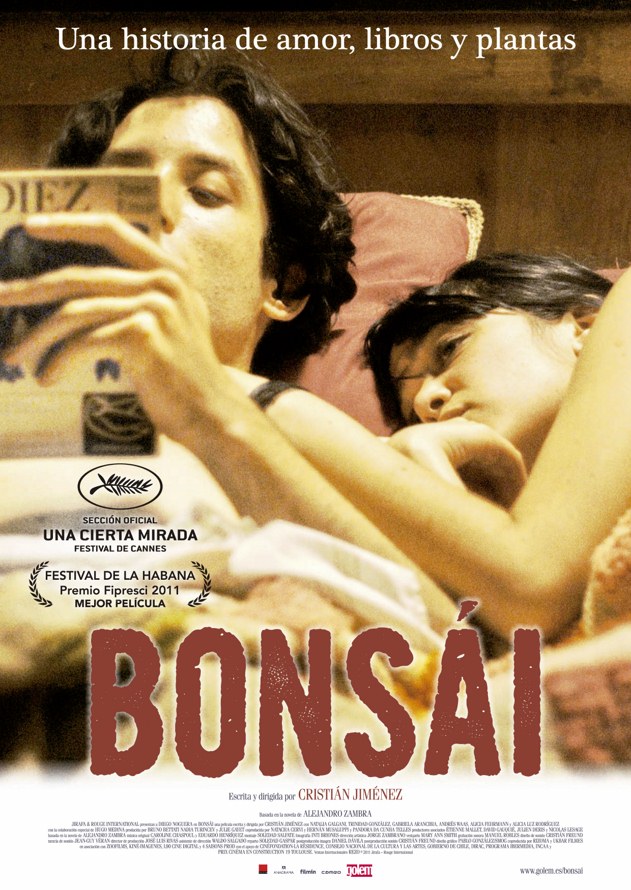 Bonsi