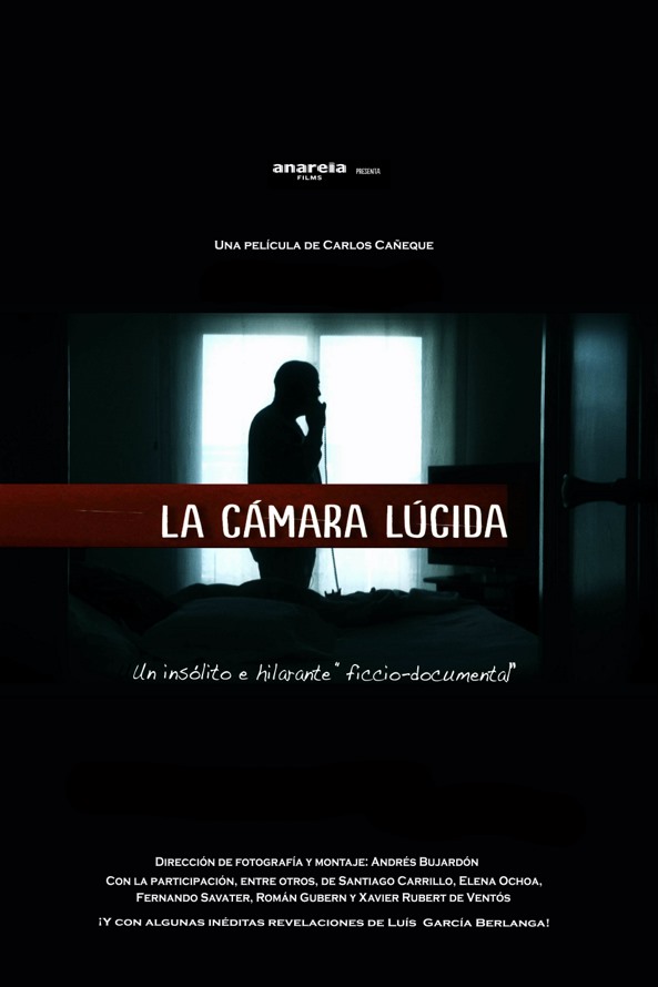 La cmara lcida