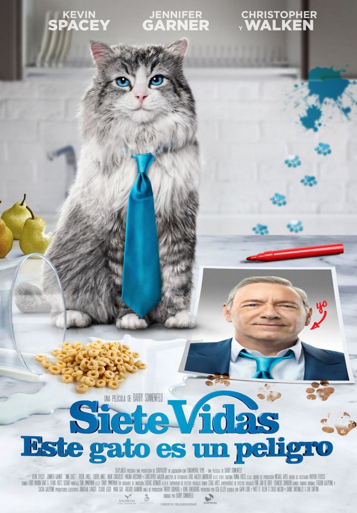 Siete vidas, este gato es un peligro